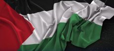 World Summit To Discuss Two-State Solution Amid Rising Palestine Support