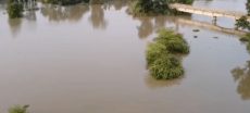 Flood