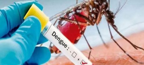 KP Reports 74 New Dengue Cases in a Day
