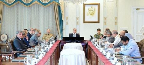 PM Directs Power Division To Prepare Reform Plan For Industry And Agriculture