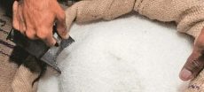 Pakistan Extends Validity Of 100,000 Ton Sugar Tender, Traders Say
