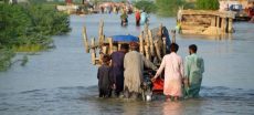 Pakistan Requests Global Assistance To Assess Flood Damage And Losses