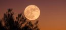 The Pakistan Space and Upper Atmosphere Research Commission (SUPARCO) has announced that the first Supermoon of 2025 will illuminate the night sky on Tuesday, offering a spectacular celestial display visible across Pakistan and the rest of the world. According to SUPARCO spokesperson Maria Tariq, a Supermoon occurs when the Moon reaches the closest point to Earth in its elliptical orbit, making it appear about 14 percent larger and up to 30 percent brighter than an average full moon. Recommended For You Pakistan’s ICUBE-Q wins global honor with Chang’e-6 mission Pakistan’s ICUBE-Q wins global honor with Chang’e-6 mission Pakistan’s top equestrian Usman Khan qualifies for Asian Games 2026 Pakistan’s top equestrian Usman Khan qualifies for Asian Games 2026 The October Supermoon will reach its peak brightness at 8:47 p.m. (Pakistan Standard Time), shortly after sunset. It will rise in the eastern sky and set just before sunrise in the west. On this night, the Moon will be 224,599 miles (361,867 kilometers) from Earth — appearing approximately 6.6 percent larger and 13 percent brighter than a typical full moon. This will be the first of three Supermoons of 2025. The next ones are expected to appear on November 5 and December 5, respectively. SUPARCO stated that the brightest Supermoon of the year will occur in November, when the Moon will be just 221,817 miles (357,040 kilometers) away from Earth. Adding to the event’s beauty, the planet Saturn will be visible near the Moon on the nights of October 6 and 7, appearing to the left, or western side, of the glowing lunar disk. TOP 5 FOR YOU Brand behind Head & Shoulders, Pampers exits Pakistan Brand behind Head & Shoulders, Pampers exits Pakistan 02 October Pakistan readies special jail in Rawalpindi for ex-PM Imran Khan Pakistan readies special jail in Rawalpindi for ex-PM Imran Khan 29 September Pakistan's opposition issues four-point declaration, demands Khan’s release Pakistan's opposition issues four-point declaration, demands Khan’s release 27 September Pakistan foreign minister says Trump's 20-point Gaza plan 'not ours' Pakistan foreign minister says Trump's 20-point Gaza plan 'not ours' 03 October Protests escalate in Pakistan-administered Kashmir as march on Muzaffarabad announced Protests escalate in Pakistan-administered Kashmir as march on Muzaffarabad announced 30 September SUPARCO emphasized that such astronomical events not only offer stunning views but also serve as a reminder of the dynamic and intricate movements within the solar system. Astronomy enthusiasts, photographers, and skywatchers have been encouraged to witness this rare and captivating display.