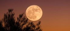 The Pakistan Space and Upper Atmosphere Research Commission (SUPARCO) has announced that the first Supermoon of 2025 will illuminate the night sky on Tuesday, offering a spectacular celestial display visible across Pakistan and the rest of the world. According to SUPARCO spokesperson Maria Tariq, a Supermoon occurs when the Moon reaches the closest point to Earth in its elliptical orbit, making it appear about 14 percent larger and up to 30 percent brighter than an average full moon. Recommended For You Pakistan’s ICUBE-Q wins global honor with Chang’e-6 mission Pakistan’s ICUBE-Q wins global honor with Chang’e-6 mission Pakistan’s top equestrian Usman Khan qualifies for Asian Games 2026 Pakistan’s top equestrian Usman Khan qualifies for Asian Games 2026 The October Supermoon will reach its peak brightness at 8:47 p.m. (Pakistan Standard Time), shortly after sunset. It will rise in the eastern sky and set just before sunrise in the west. On this night, the Moon will be 224,599 miles (361,867 kilometers) from Earth — appearing approximately 6.6 percent larger and 13 percent brighter than a typical full moon. This will be the first of three Supermoons of 2025. The next ones are expected to appear on November 5 and December 5, respectively. SUPARCO stated that the brightest Supermoon of the year will occur in November, when the Moon will be just 221,817 miles (357,040 kilometers) away from Earth. Adding to the event’s beauty, the planet Saturn will be visible near the Moon on the nights of October 6 and 7, appearing to the left, or western side, of the glowing lunar disk. TOP 5 FOR YOU Brand behind Head & Shoulders, Pampers exits Pakistan Brand behind Head & Shoulders, Pampers exits Pakistan 02 October Pakistan readies special jail in Rawalpindi for ex-PM Imran Khan Pakistan readies special jail in Rawalpindi for ex-PM Imran Khan 29 September Pakistan's opposition issues four-point declaration, demands Khan’s release Pakistan's opposition issues four-point declaration, demands Khan’s release 27 September Pakistan foreign minister says Trump's 20-point Gaza plan 'not ours' Pakistan foreign minister says Trump's 20-point Gaza plan 'not ours' 03 October Protests escalate in Pakistan-administered Kashmir as march on Muzaffarabad announced Protests escalate in Pakistan-administered Kashmir as march on Muzaffarabad announced 30 September SUPARCO emphasized that such astronomical events not only offer stunning views but also serve as a reminder of the dynamic and intricate movements within the solar system. Astronomy enthusiasts, photographers, and skywatchers have been encouraged to witness this rare and captivating display.