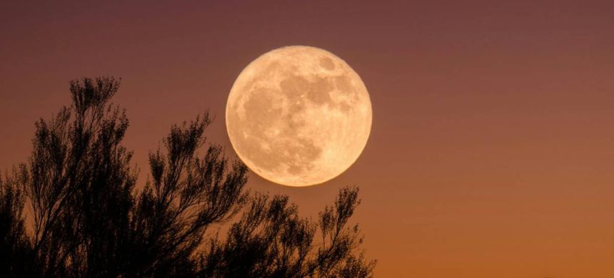 The Pakistan Space and Upper Atmosphere Research Commission (SUPARCO) has announced that the first Supermoon of 2025 will illuminate the night sky on Tuesday, offering a spectacular celestial display visible across Pakistan and the rest of the world. According to SUPARCO spokesperson Maria Tariq, a Supermoon occurs when the Moon reaches the closest point to Earth in its elliptical orbit, making it appear about 14 percent larger and up to 30 percent brighter than an average full moon. Recommended For You Pakistan’s ICUBE-Q wins global honor with Chang’e-6 mission Pakistan’s ICUBE-Q wins global honor with Chang’e-6 mission Pakistan’s top equestrian Usman Khan qualifies for Asian Games 2026 Pakistan’s top equestrian Usman Khan qualifies for Asian Games 2026 The October Supermoon will reach its peak brightness at 8:47 p.m. (Pakistan Standard Time), shortly after sunset. It will rise in the eastern sky and set just before sunrise in the west. On this night, the Moon will be 224,599 miles (361,867 kilometers) from Earth — appearing approximately 6.6 percent larger and 13 percent brighter than a typical full moon. This will be the first of three Supermoons of 2025. The next ones are expected to appear on November 5 and December 5, respectively. SUPARCO stated that the brightest Supermoon of the year will occur in November, when the Moon will be just 221,817 miles (357,040 kilometers) away from Earth. Adding to the event’s beauty, the planet Saturn will be visible near the Moon on the nights of October 6 and 7, appearing to the left, or western side, of the glowing lunar disk. TOP 5 FOR YOU Brand behind Head & Shoulders, Pampers exits Pakistan Brand behind Head & Shoulders, Pampers exits Pakistan 02 October Pakistan readies special jail in Rawalpindi for ex-PM Imran Khan Pakistan readies special jail in Rawalpindi for ex-PM Imran Khan 29 September Pakistan's opposition issues four-point declaration, demands Khan’s release Pakistan's opposition issues four-point declaration, demands Khan’s release 27 September Pakistan foreign minister says Trump's 20-point Gaza plan 'not ours' Pakistan foreign minister says Trump's 20-point Gaza plan 'not ours' 03 October Protests escalate in Pakistan-administered Kashmir as march on Muzaffarabad announced Protests escalate in Pakistan-administered Kashmir as march on Muzaffarabad announced 30 September SUPARCO emphasized that such astronomical events not only offer stunning views but also serve as a reminder of the dynamic and intricate movements within the solar system. Astronomy enthusiasts, photographers, and skywatchers have been encouraged to witness this rare and captivating display.