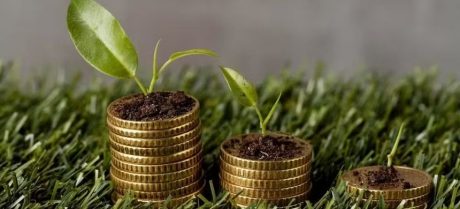 Pakistan’s Clean Environment Fund Remains Inactive For Almost A Decade