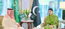 Saudi investors granted 10-year tax exemption in Punjab’s special industrial zone