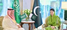 Saudi investors granted 10-year tax exemption in Punjab’s special industrial zone