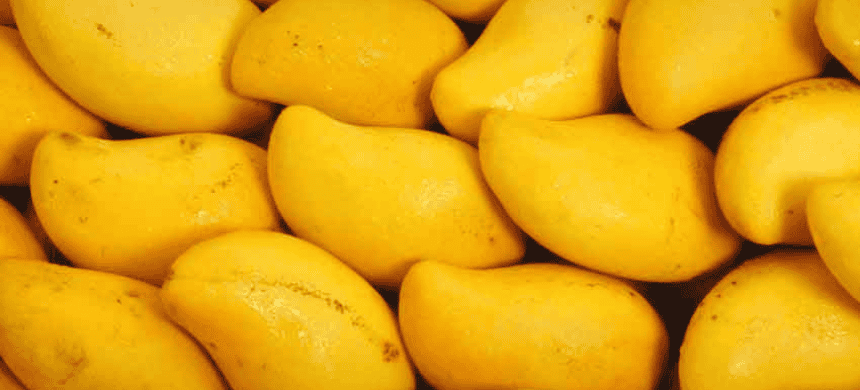 Thousands Of Mango Orchard Acres Destroyed By Recent Floods