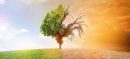 Three Task Forces Established to Tackle Agricultural Aid and Climate Issues