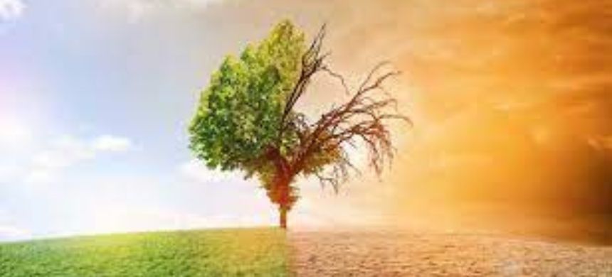Three Task Forces Established to Tackle Agricultural Aid and Climate Issues
