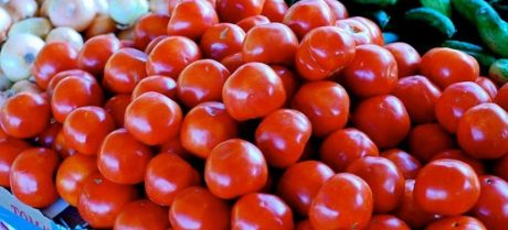 Tomato Prices Skyrocket Nationwide in Pakistan