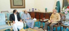 Zardari, Shehbaz, Bilawal Discuss AJK Government Formation