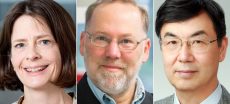 Nobel Prize in Medicine 2025 goes to US, Japan team