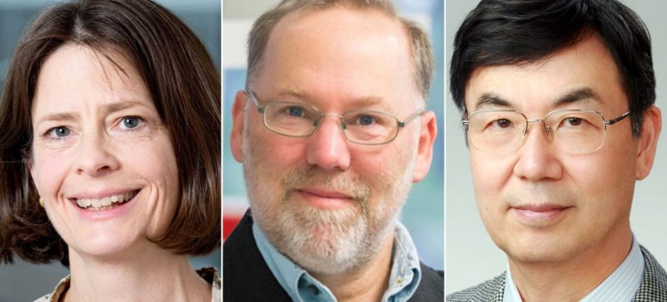 Nobel Prize in Medicine 2025 goes to US, Japan team