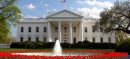 Driver Arrested After Crashing Car Into White House Security