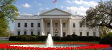 Driver Arrested After Crashing Car Into White House Security