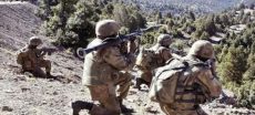 Lakki Marwat Security Forces Kill 8 Militants in Operation
