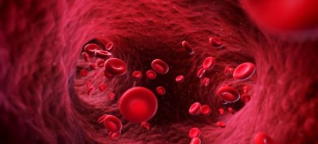 Cambridge Scientists Discover New Way to Create Human Blood Cells