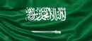 Saudi Arabia Expels 14,000 Illegal Residents In One Week