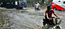 Heavy Rain And Storms Batter Punjab, Causing Deaths And Injuries