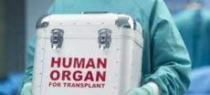 Shadow Market: The Kidney Trade That Haunts Pakistan