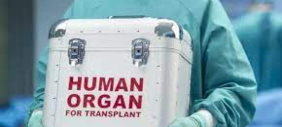 Shadow Market: The Kidney Trade That Haunts Pakistan