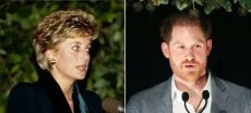 Royal Pain Returns: Princess Diana’s Death Used To Target Meghan