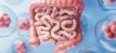 Protect Your Gut: 5 Habits That Harm Intestinal Health