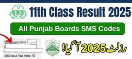 11th Class Results 2025