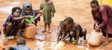 Climate Crisis Intensifies: 900 Million Lives Exposed, Warns UN