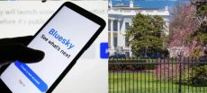 Digital Protest Grows: Bluesky Users Target White House Online