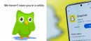 Internet Apps Paralyzed: Snapchat And Duolingo Crash Today