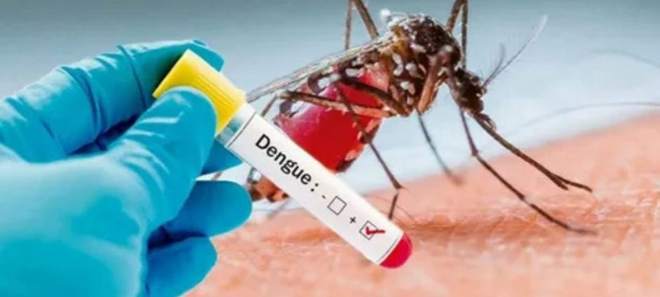 Mosquito Threat Meets Affordable Testing: Sindh Makes Dengue Malaria Easy
