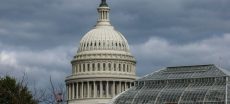 White House Terminates Thousands Of United States Government Employees