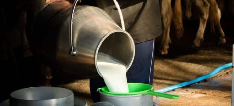 Fake Milk Found in Multiple Lahore Milk Shops