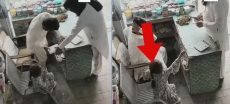 Little Girl’s Lollipop Forces Armed Robber to Retreat in Viral Pakistan Clip