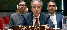 Pakistan Calls To End Or Limit UN Veto Power At Security Council
