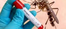 Rawalpindi records 19 additional dengue cases within a day