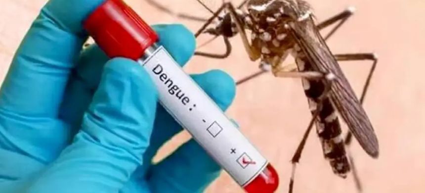 Rawalpindi records 19 additional dengue cases within a day
