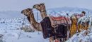 Saudi Desert Turns Icy: First-Ever Snowfall in Al Jawf Region