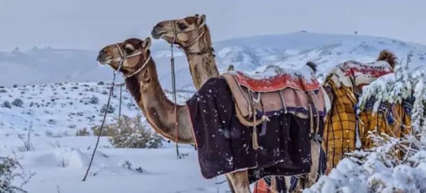 Saudi Desert Turns Icy: First-Ever Snowfall in Al Jawf Region