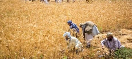 Sindh Farmers Sue German Firms In €1 Million Legal Case