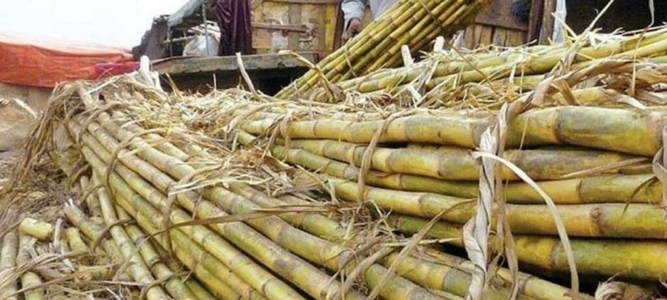 Sugarcane Crushing Season Set To Commence Later This Month