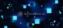 Blackbox AI