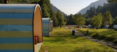 Reconnect With Nature: Camping Deep In Sharan Forest, Kaghan