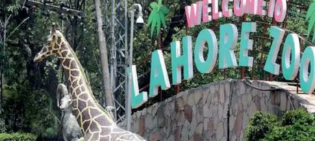 Visiting Lahore Wildlife Park? Here’s How To Make It Fun & Easy