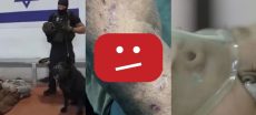 YouTube Deletes Videos from Palestinian Human Rights Groups, Citing U.S. Sanctions