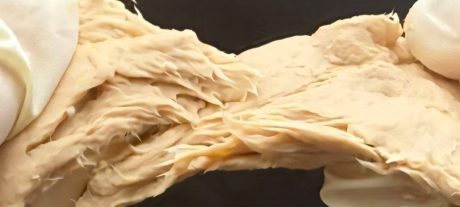 Chinese Scientists Create Meat-Like Protein That Could Replace Chicken