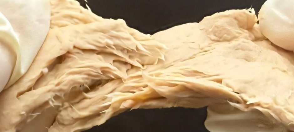 Chinese Scientists Create Meat-Like Protein That Could Replace Chicken